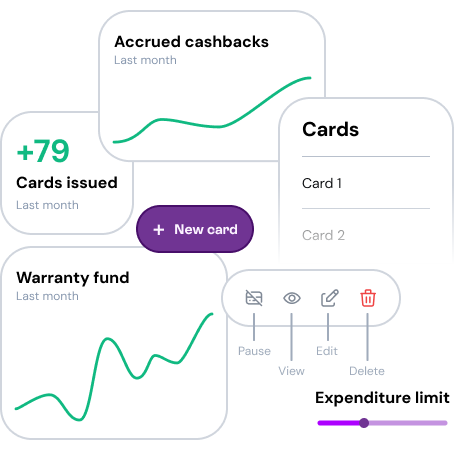 Management and business intelligence elements in payment card programs