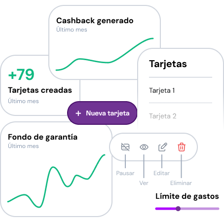 Elementos de gestión e inteligencia comercial en programas de tarjetas de pago